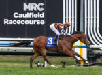 Horse racing scene at Caulfield Racecourse with a jockey in orange-and-black checkered silks riding a bay horse, number 3 saddlecloth