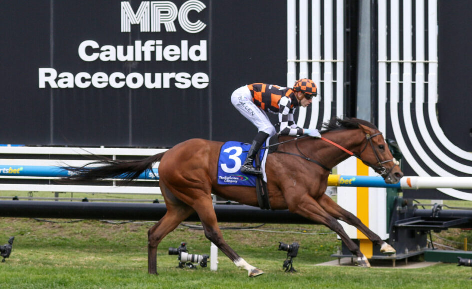 Horse racing scene at Caulfield Racecourse with a jockey in orange-and-black checkered silks riding a bay horse, number 3 saddlecloth