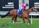Jockey in pink and white silks riding a horse over a hurdle at Caulfield Racecourse, number 1 blue saddlecloth visible on the horse's side.
