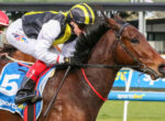 Jockey riding a brown horse during a race, wearing a yellow and black helmet and white-yellow-black racing silks with a blue number 5 saddle cloth.