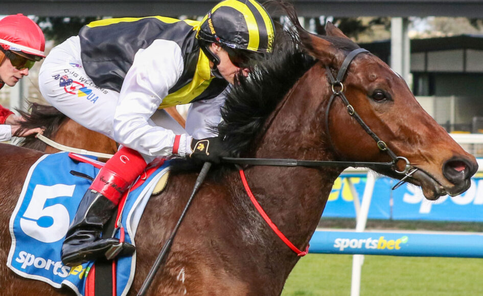 Jockey riding a brown horse during a race, wearing a yellow and black helmet and white-yellow-black racing silks with a blue number 5 saddle cloth.