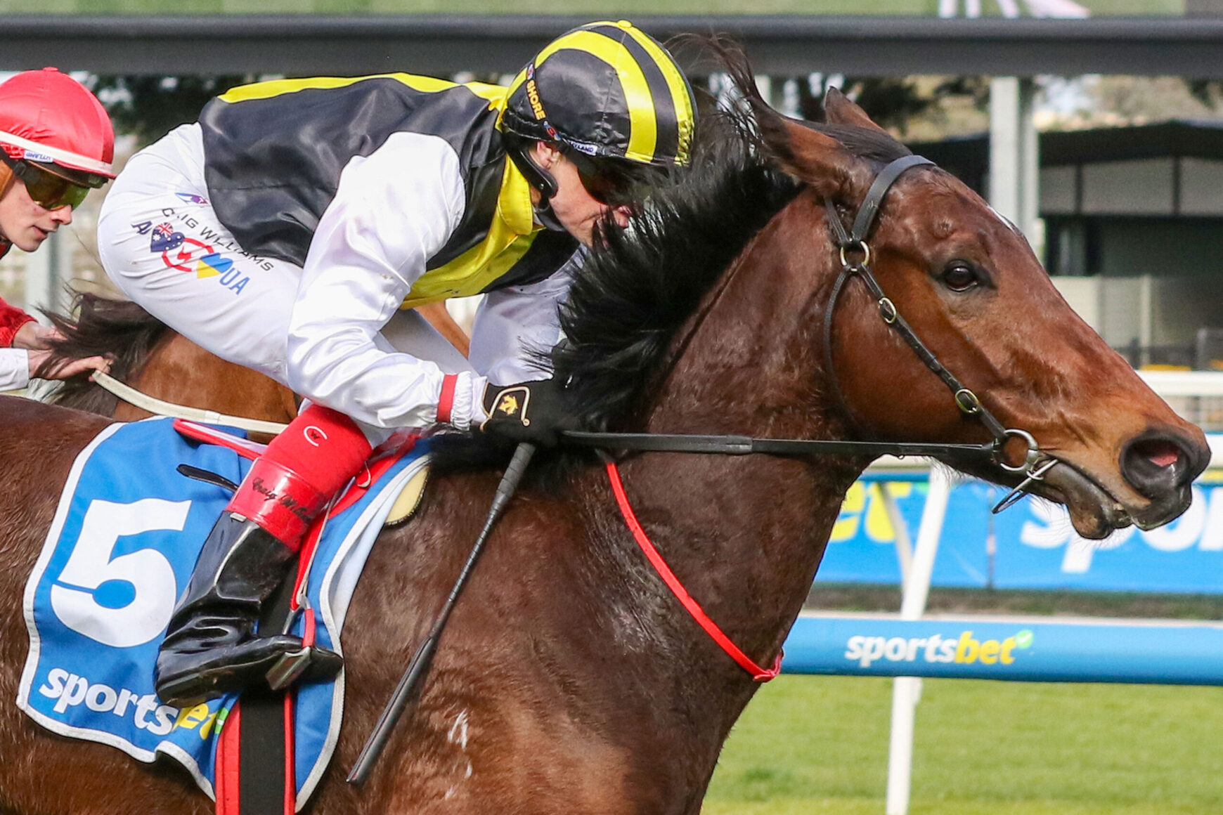 Jockey riding a brown horse during a race, wearing a yellow and black helmet and white-yellow-black racing silks with a blue number 5 saddle cloth.