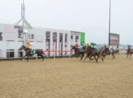 Horse race on a dirt track; leading horse wearing a yellow cap, group of galloping horses behind, Canberra signage in the background.