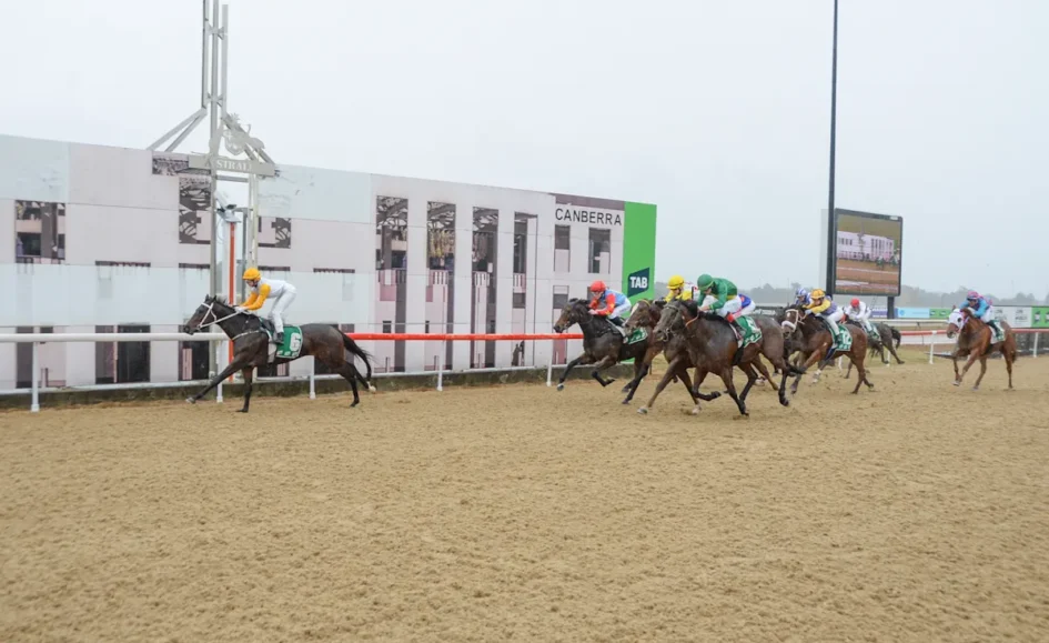 Horse race on a dirt track; leading horse wearing a yellow cap, group of galloping horses behind, Canberra signage in the background.