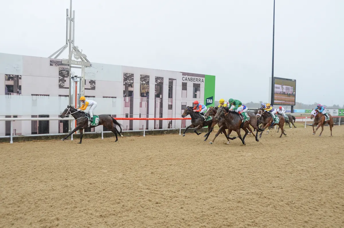 Horse race on a dirt track; leading horse wearing a yellow cap, group of galloping horses behind, Canberra signage in the background.
