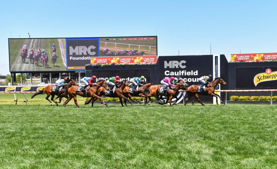 Group of thoroughbred horses with jockeys racing on a green turf track at Caulfield, with large scoreboard and sponsor banners in the background.