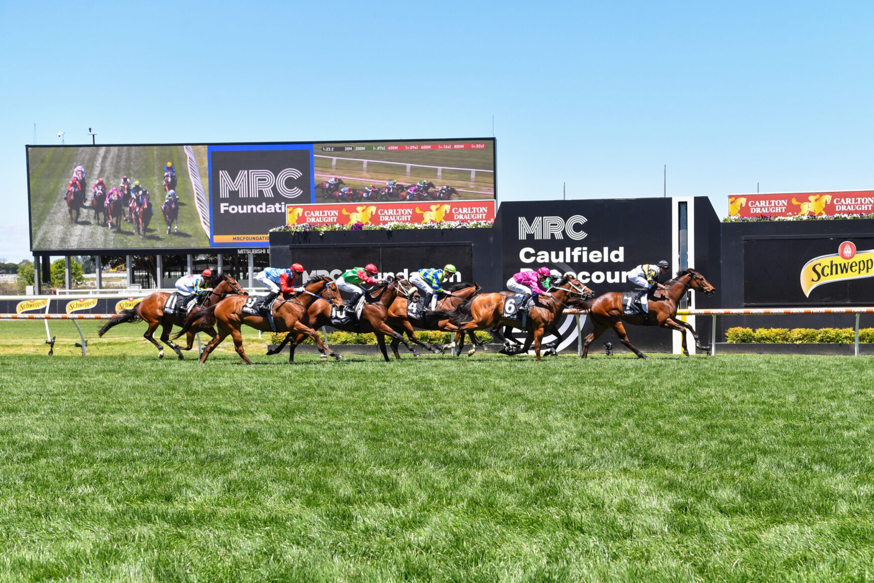 Group of thoroughbred horses with jockeys racing on a green turf track at Caulfield, with large scoreboard and sponsor banners in the background.