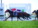 Jockeys race horses at a seaside track, mid-gallop with colorful silks and a bright green turf foreground.