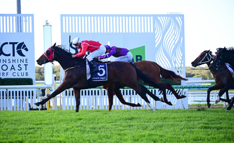 Jockeys race horses at a seaside track, mid-gallop with colorful silks and a bright green turf foreground.