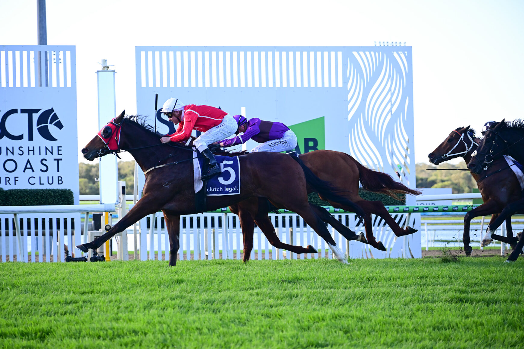 Jockeys race horses at a seaside track, mid-gallop with colorful silks and a bright green turf foreground.
