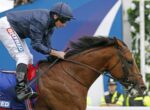 Jockey in navy jacket and white pants riding a brown horse during a race, blue barrier in the background, focused forward motion.