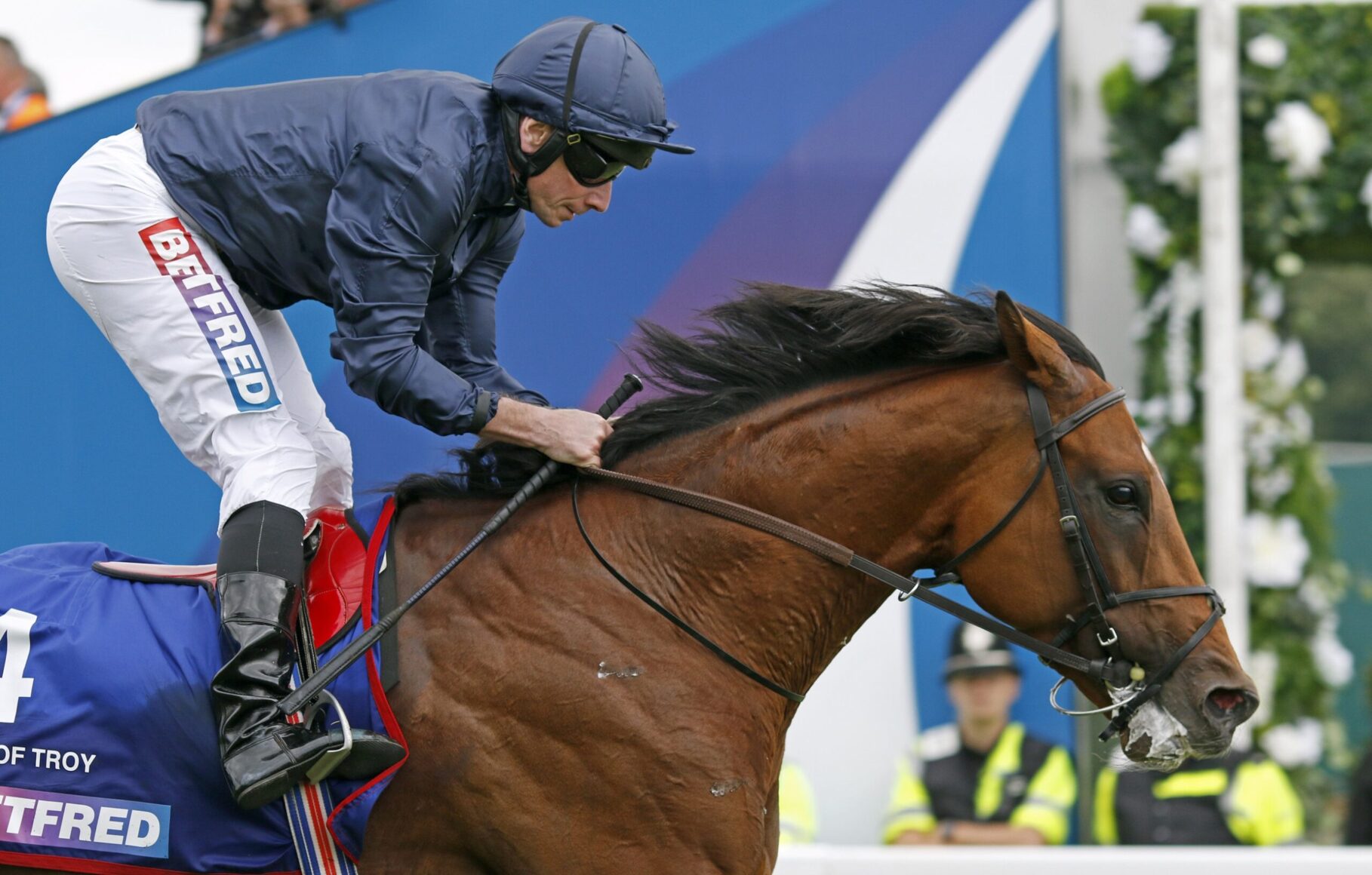 Jockey in navy jacket and white pants riding a brown horse during a race, blue barrier in the background, focused forward motion.