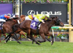 Jockeys and horses gallop neck-and-neck on a racecourse, front horse wearing a purple saddlecloth with the number 4 and 'FLEMINGTON' as banners and a large Lexus sign in the background.