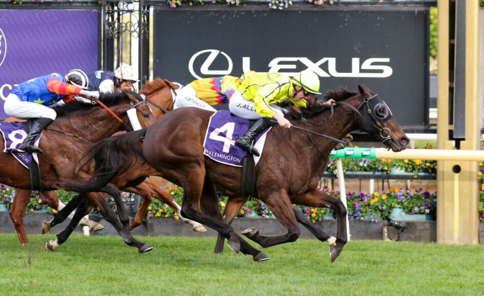 Jockeys and horses gallop neck-and-neck on a racecourse, front horse wearing a purple saddlecloth with the number 4 and 'FLEMINGTON' as banners and a large Lexus sign in the background.