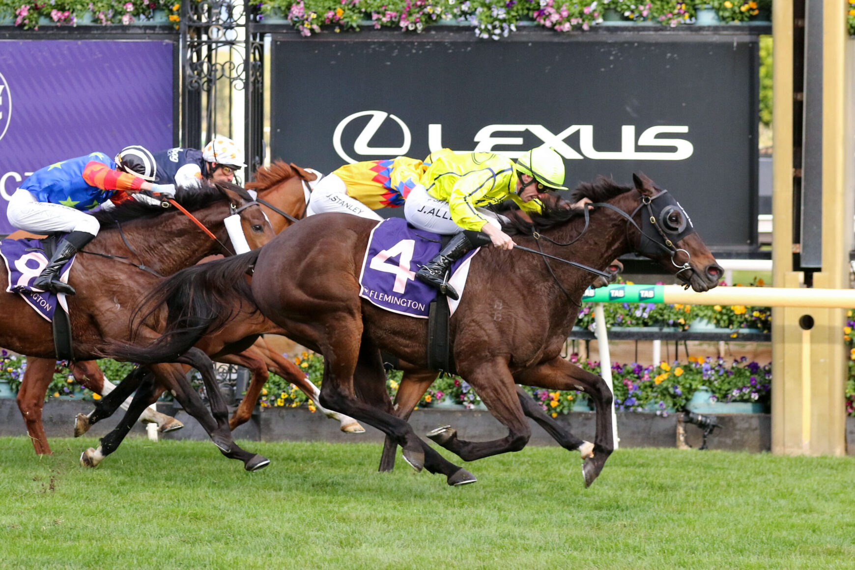 Jockeys and horses gallop neck-and-neck on a racecourse, front horse wearing a purple saddlecloth with the number 4 and 'FLEMINGTON' as banners and a large Lexus sign in the background.