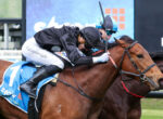 Two jockeys race neck-and-neck on a brown horse, wearing helmets and racing silks, urging the finish line ahead.