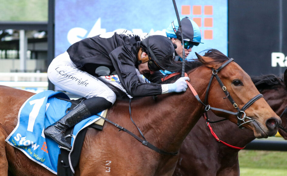 Two jockeys race neck-and-neck on a brown horse, wearing helmets and racing silks, urging the finish line ahead.