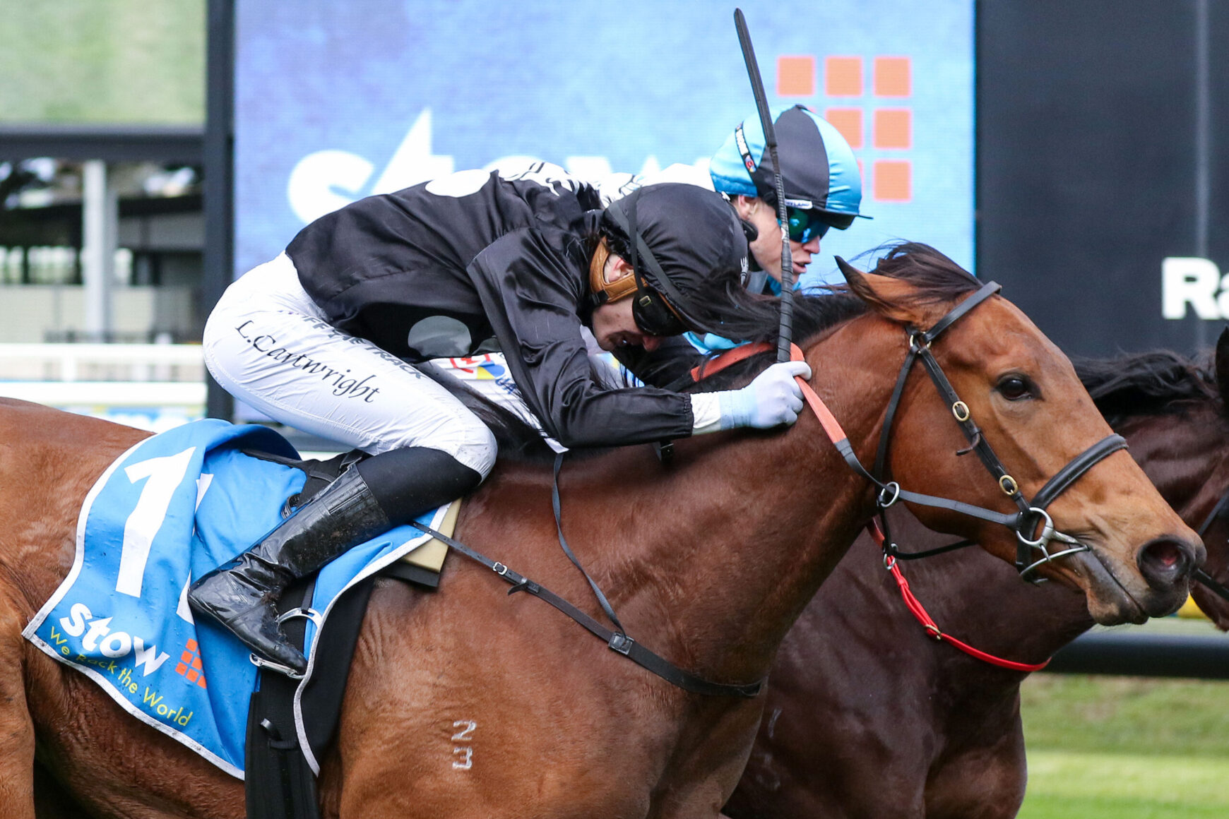 Two jockeys race neck-and-neck on a brown horse, wearing helmets and racing silks, urging the finish line ahead.