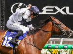 Jockey in white and blue silks leans forward on a brown horse mid-jump, blue saddlecloth with number 12, TAB ads in the background.