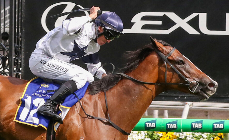 Jockey in white and blue silks leans forward on a brown horse mid-jump, blue saddlecloth with number 12, TAB ads in the background.