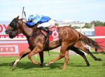 Two racehorses gallop side by side as a jockey in blue leans forward for speed on a grassy track.