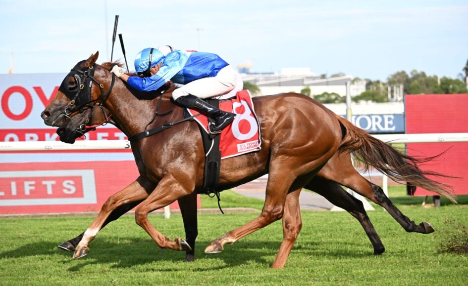 Two racehorses gallop side by side as a jockey in blue leans forward for speed on a grassy track.