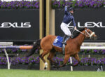 Brown horse and jockey in navy silks jump a hurdle at a racecourse, with purple flowers and Lexus signage in the background