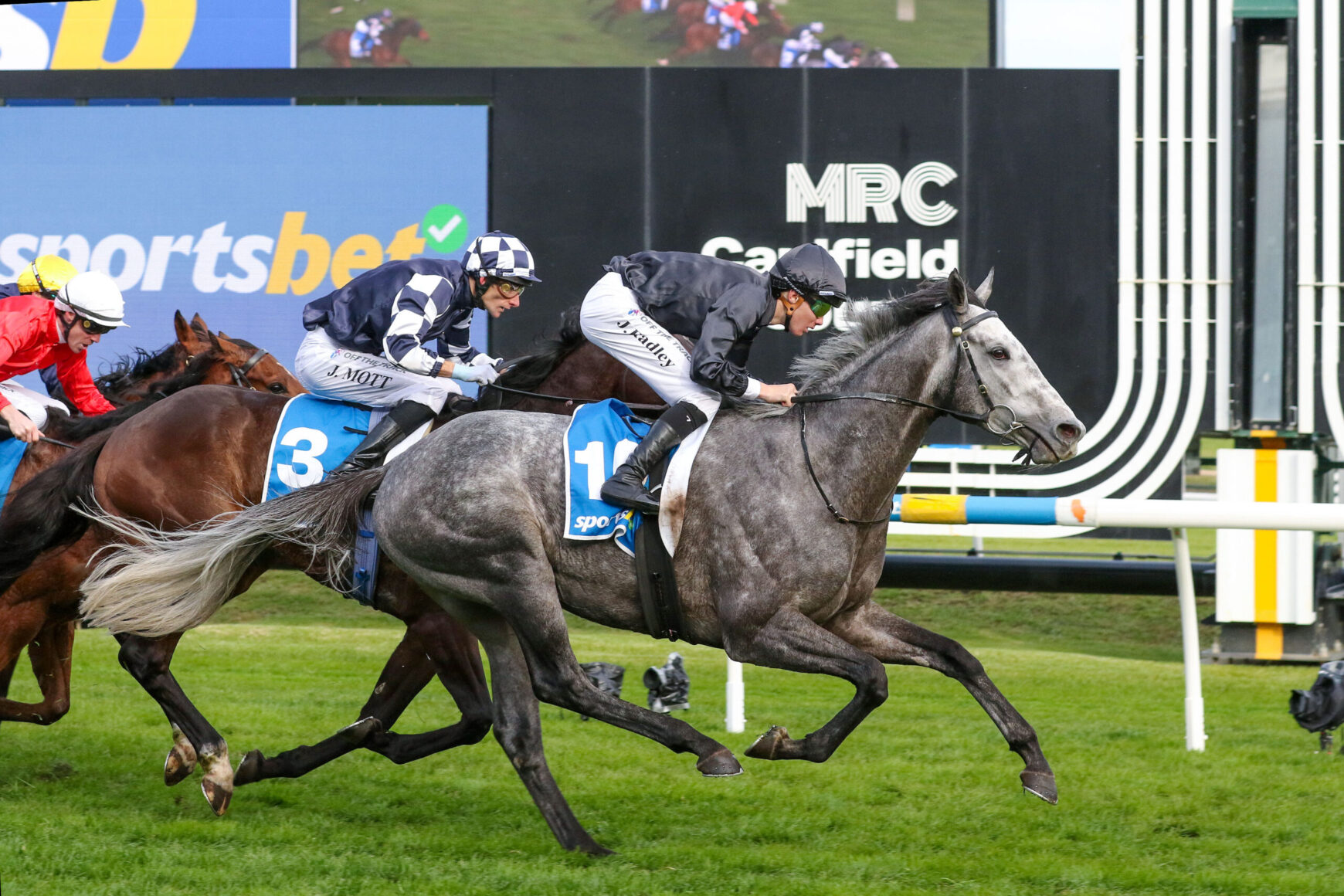 Grey racehorse leading the pack with blue number 1 saddlecloth; jockey in dark silks, others close behind on grass turf.