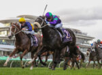 Three jockeys in colorful silks ride sprinting horses mid-jump during a race at Flemington, with a grandstand in the background.