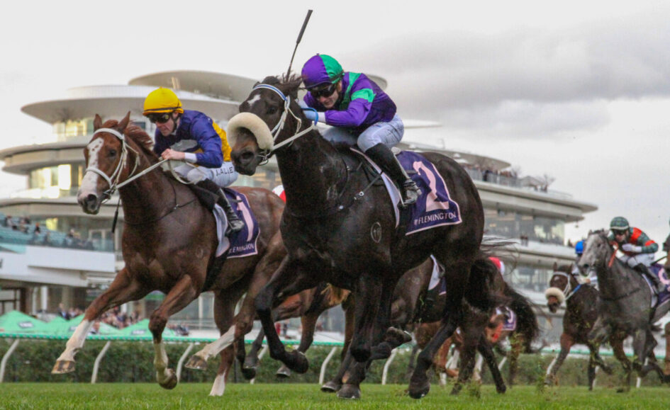 Three jockeys in colorful silks ride sprinting horses mid-jump during a race at Flemington, with a grandstand in the background.