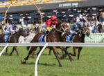 Jockey in red silks leads a group of horses racing on a grassy track at J.R. Fleming Stand.