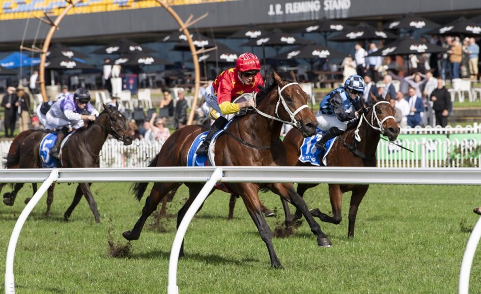 Jockey in red silks leads a group of horses racing on a grassy track at J.R. Fleming Stand.