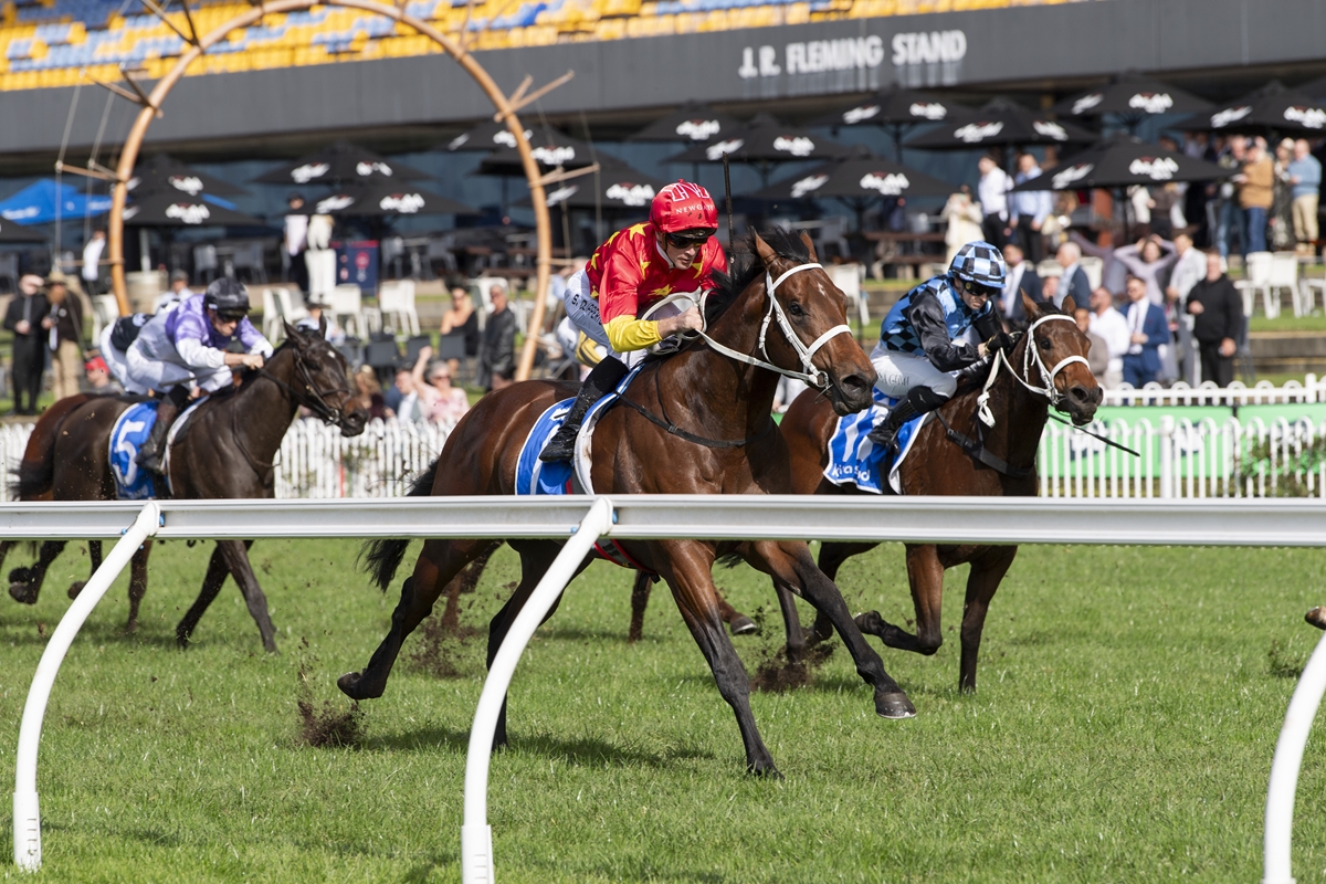 Jockey in red silks leads a group of horses racing on a grassy track at J.R. Fleming Stand.