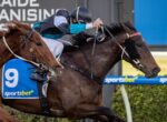 Three horse racing close together; front horse wears blue number-9 saddlecloth with a sportsbet logo and a jockey in teal sleeves.