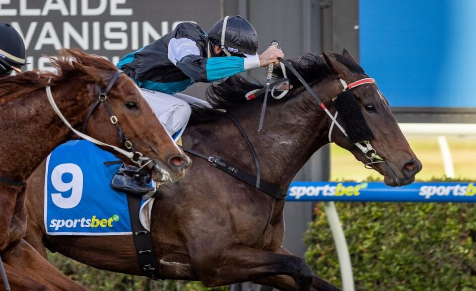 Three horse racing close together; front horse wears blue number-9 saddlecloth with a sportsbet logo and a jockey in teal sleeves.