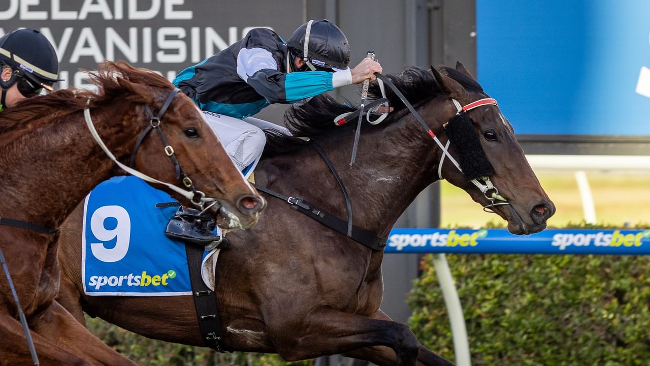 Three horse racing close together; front horse wears blue number-9 saddlecloth with a sportsbet logo and a jockey in teal sleeves.