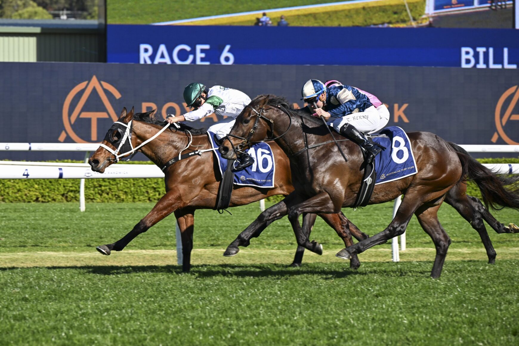 Three racehorses gallop neck-and-neck on a sunny turf track, jockeys in colorful silks urging them toward the finish line, blue saddlecloths visible.