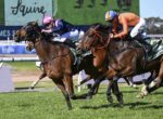 Three Thoroughbred racehorses sprint on a grassy track with jockeys in orange, pink, and blue silks.