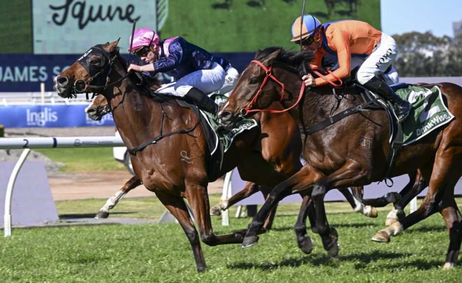 Three Thoroughbred racehorses sprint on a grassy track with jockeys in orange, pink, and blue silks.