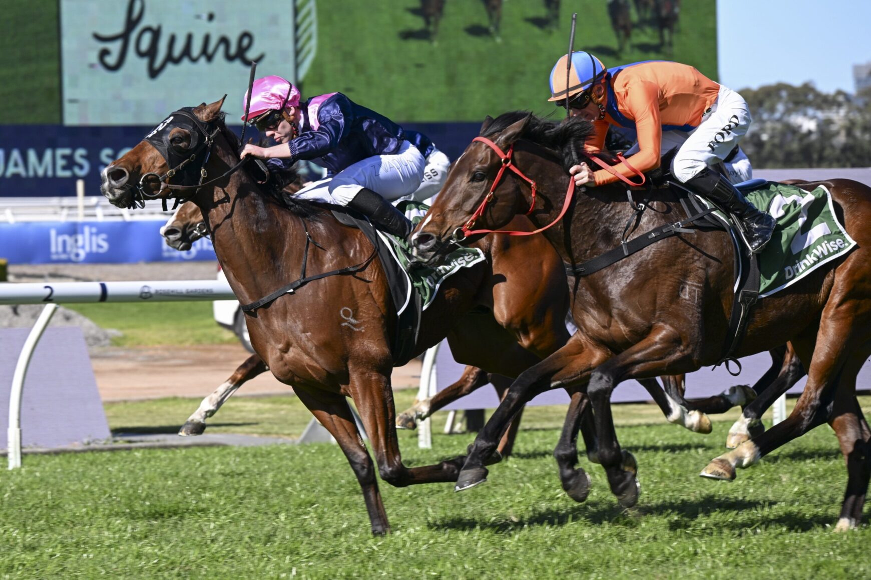 Three Thoroughbred racehorses sprint on a grassy track with jockeys in orange, pink, and blue silks.