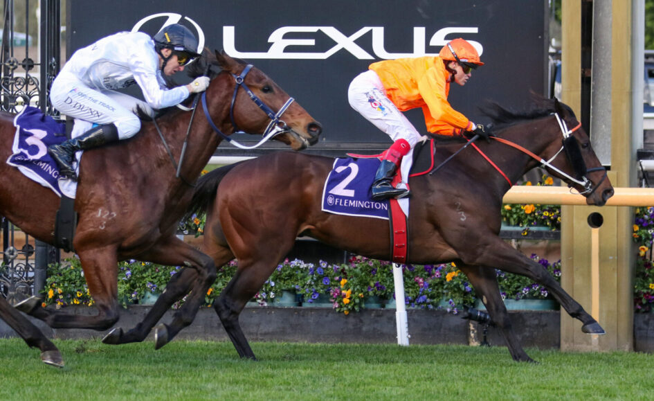 Two jockeys race side by side on galloping horses near a Lexus backdrop, white and orange silks flying as they battle for the lead at a Flemington track.