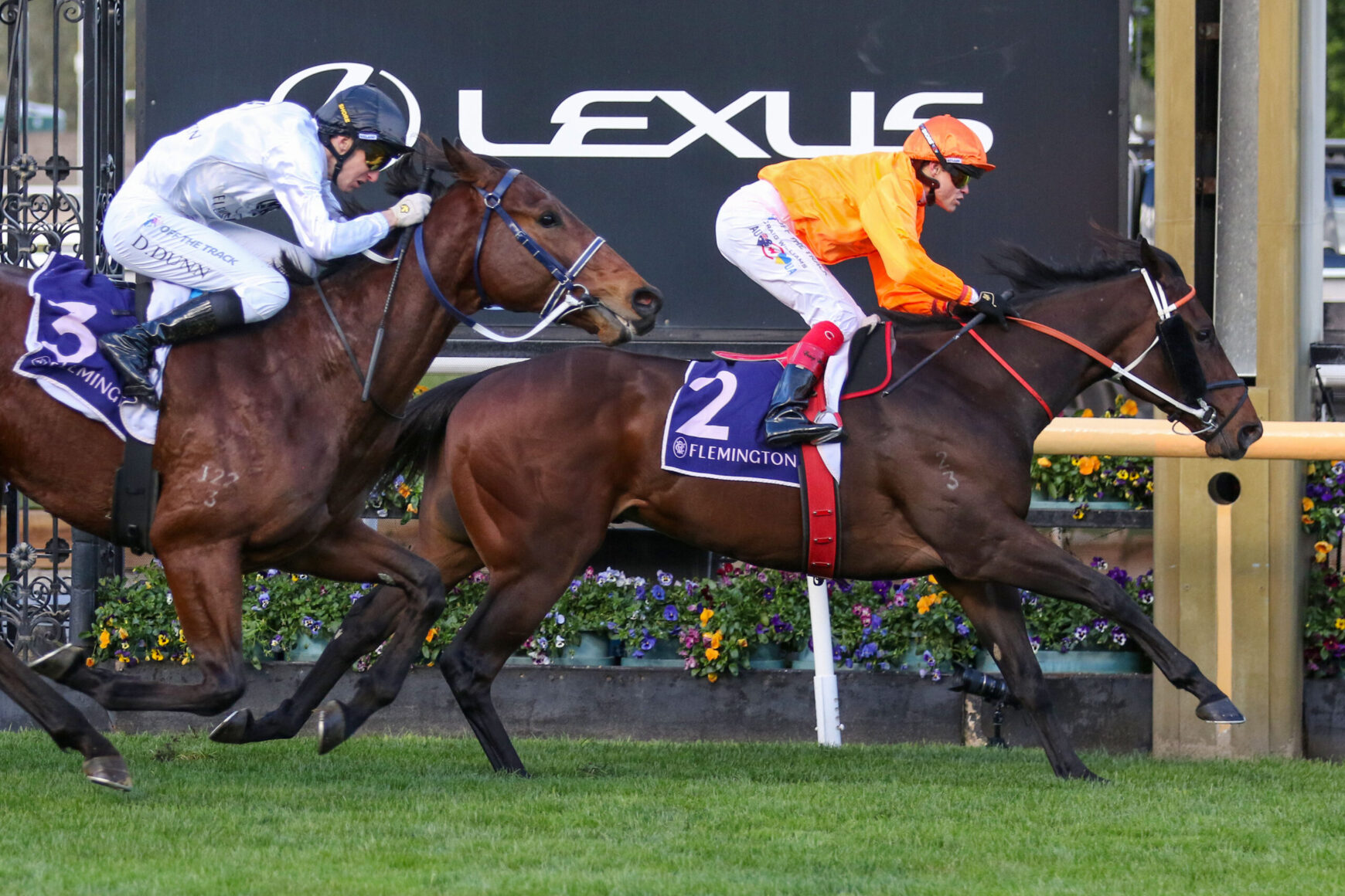 Two jockeys race side by side on galloping horses near a Lexus backdrop, white and orange silks flying as they battle for the lead at a Flemington track.