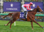 Jockey in red-and-white striped silks rides a galloping brown horse at Flemington, number 10 saddle cloth visible.