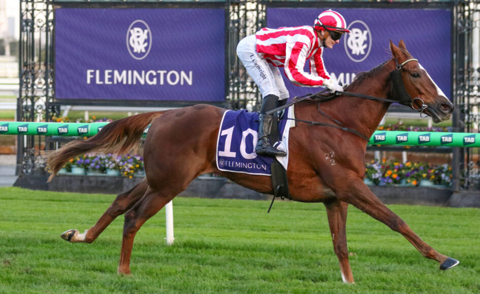Jockey in red-and-white striped silks rides a galloping brown horse at Flemington, number 10 saddle cloth visible.