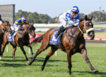 Leading brown horse and jockey in blue-and-white silks race on a sunny grass track, other horses close behind.