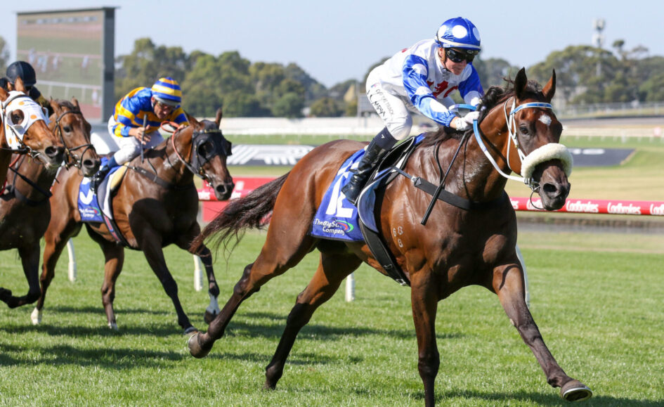 Leading brown horse and jockey in blue-and-white silks race on a sunny grass track, other horses close behind.