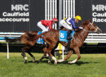 Two jockeys race a brown horse at Caulfield Racecourse, wearing red and yellow helmets, blue saddle cloth with number 8.