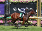 Jockey in blue-and-white silks and a checkered cap rides a chestnut horse leaping over a hurdle amid colorful flower decorations and signs in the background.