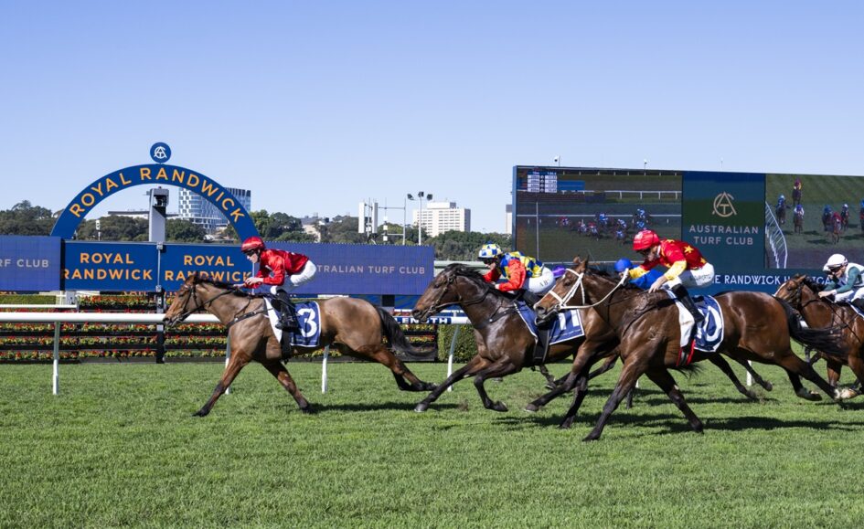 Horse race at Royal Randwick; lead horse ahead of pack on green turf with blue signage and a large screen in the background.