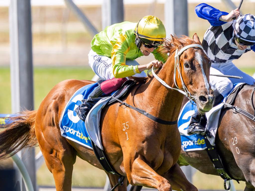 Horse race in progress: a brown horse with blue saddlecloth numbered 35 leads, ridden by a jockey in bright lime-green silks and gold helmet, close to a second rider in a checkered outfit behind.Significant motion and competition conveyed without extra details.